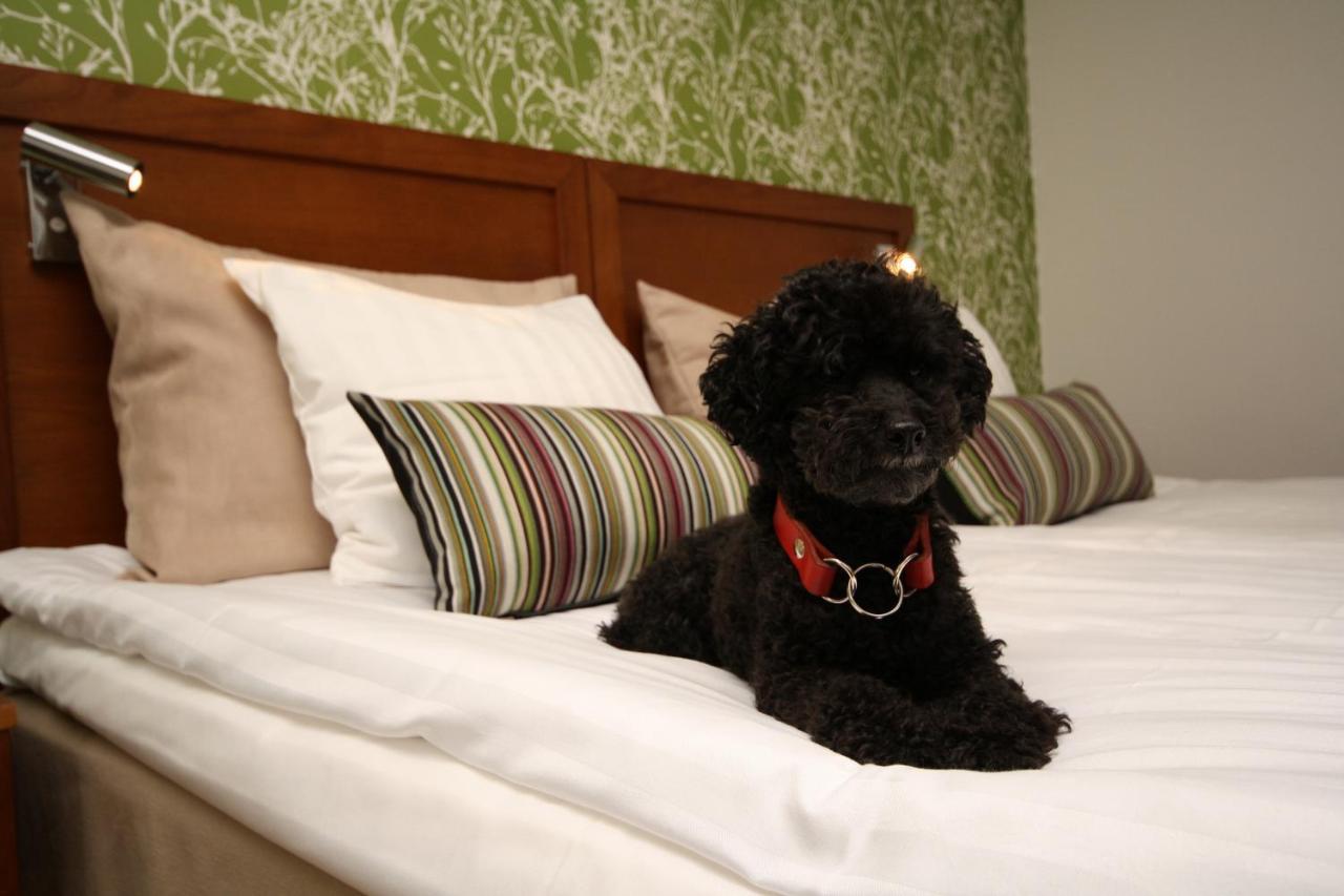 קרלסקרונה Hotell Conrad מראה חיצוני תמונה